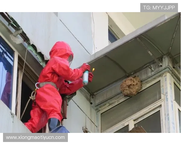 乐鱼地址最新官方公告引导玩家安全登录平台确保账户信息安全 乐鱼地址最新官方公告引导玩家安全登录平台确保账户信息安全