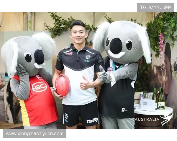 皇冠体育平台全面升级,助力用户享受更安全便捷的体育博彩服务