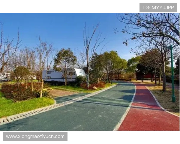 艾尚体育未来发展趋势：探索平台创新技术如何引领体育娱乐新风尚