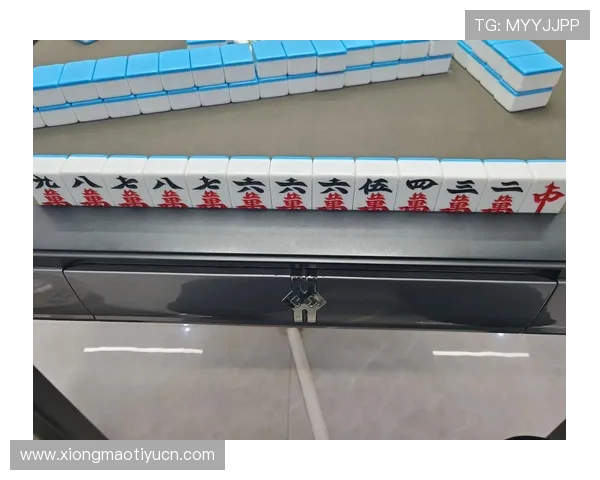 麻将胡了：不同胡牌类型详解帮助你提升胜率